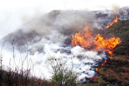森林火灾的原因 森林火灾产生的原因