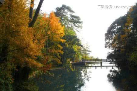 最美秋景图片 寻找浙江最美的秋景