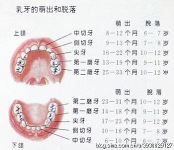 儿童换牙期间注意事项 儿童换牙期间的注意事项