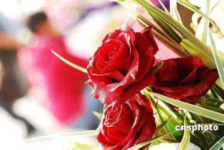 爱情诗词歌赋 情人节的爱情诗词歌赋 为情人节献两朵玫瑰