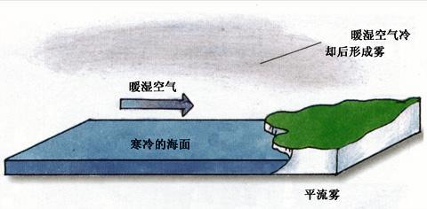 雾是怎么形成的20字 雾是怎么形成的