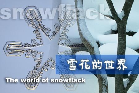 雪是怎么形成的视频 雪怎么形成的