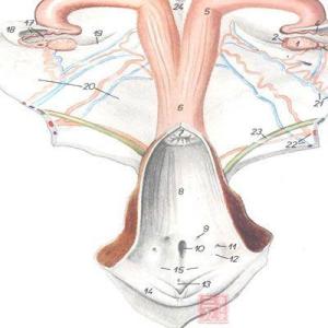 月经经血太少怎么办 月经的经血是怎么形成的