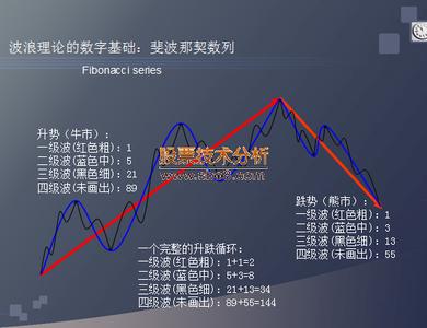 黄金分割 假如SEO也有黄金分割比