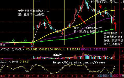 怎样看股票的量 股票有量没量怎么看