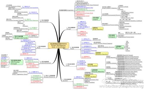 项目管理的知识体系 项目管理的知识