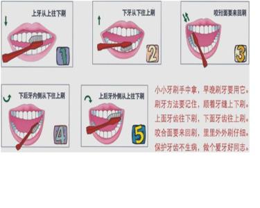 刷牙的正确方法 正确刷牙的方法是什么