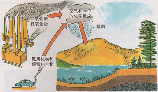 酸雨形成的原因与危害 酸雨的形成原因是什么 酸雨的形成和危害