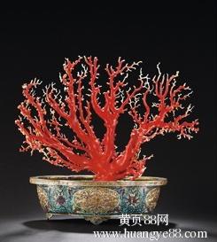 为什么珊瑚有大红色 红珊瑚怎么形成的