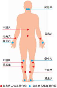 人体内脏重要部位 人体八大重要部位的养生方法