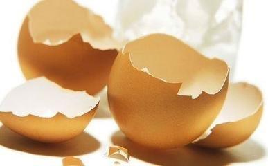 鸡蛋壳有什么用处 鸡蛋壳有哪些用处
