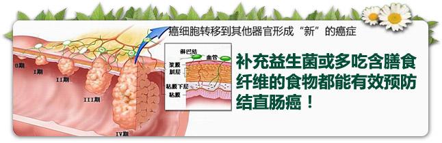 胃不好吃点什么保健品 肠道不好吃什么保健品