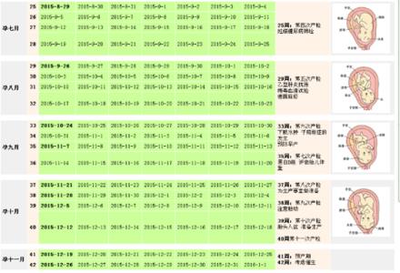 怀孕周期怎么算更准确 怀孕周期怎么算