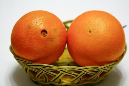 橙子怎么挑果脐是哪里 橙子怎么挑
