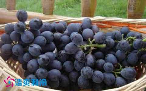 果蔬贮藏保鲜技术 如何进行葡萄的贮藏保鲜