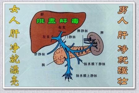 肝癌腹水快速排出方法 怎样快速排肝毒 快速排肝毒方法