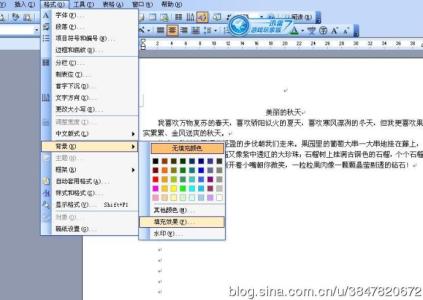 社会调查的概念化操作 背景调查操作方法