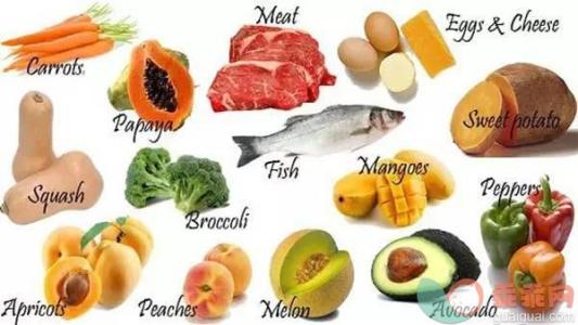 富含蛋白质的食物 孕妇宜多吃哪些富含蛋白质的食物