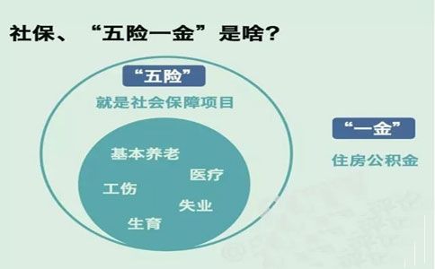 2016年上海社保新规定 2017年上海社保新规定