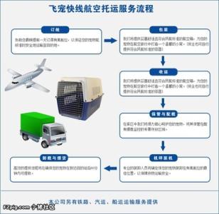 宠物托运流程 火车 宠物托运流程