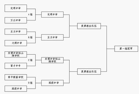 初中辩论赛题目 初中辩论赛流程