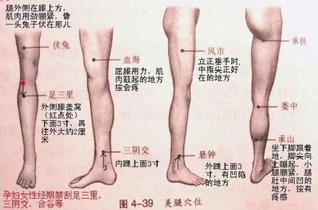 瘦腿穴位 瘦腿可以常按哪些穴位