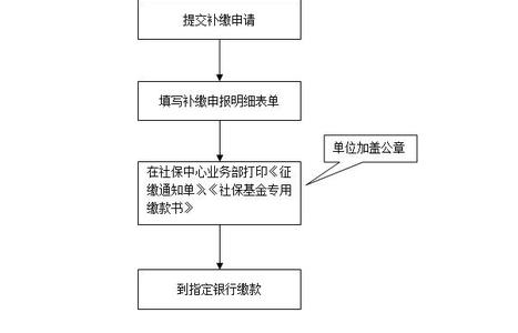 深圳社保补缴流程 深圳社保补缴有什么流程_深圳社保补缴流程