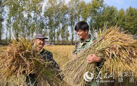 黑龙江省玉米补贴政策 黑龙江省农业政策补贴新规定