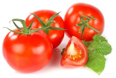 西红柿病虫害防治 西红柿可治哪些疾病