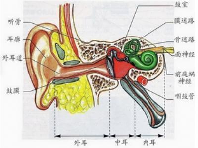 上火引起中耳炎怎么办 中耳炎怎么形成的