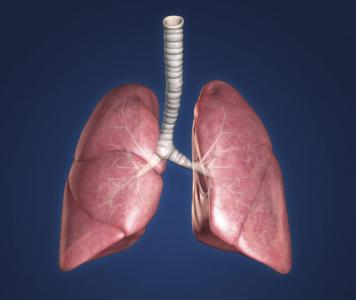 治疗肺纤维化偏方 治疗肺纤维化的偏方有哪些
