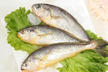 吃什么食用油最健康 孩子吃什么鱼好 推荐孩子食用的鱼