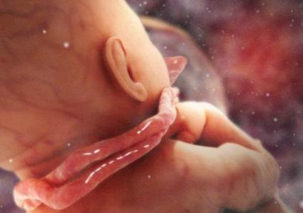 胎儿缺氧在家怎么缓解 胎儿缺氧怎么办