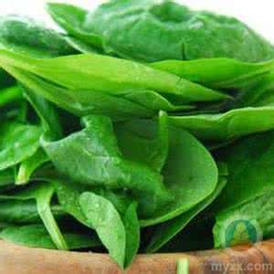 有助于排毒的蔬菜 哪些菜有助于白领排毒