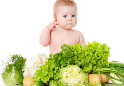 认识常见的蔬菜 教宝宝认识常见食物――蔬菜的益处