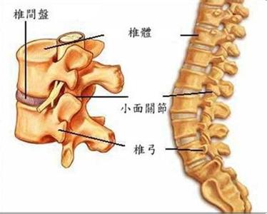 怎样保护颈椎和腰椎 保护颈椎和腰椎几个简单小动作