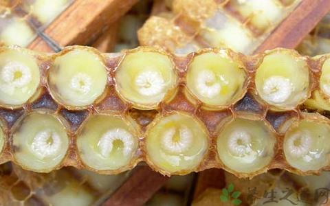 吃蜂王浆的禁忌 哪些人不适合吃蜂王浆