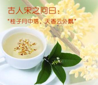桂花蜂蜜茶的做法 桂花蜂蜜茶的功效与作用