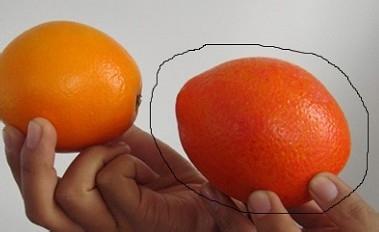 如何挑选橙子 橙子要如何挑选