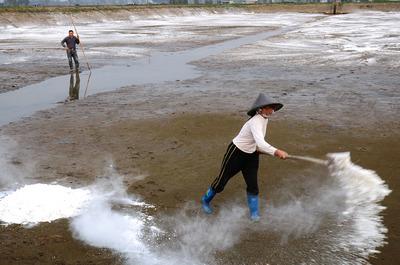 生石灰土壤消毒方法 养殖户使用石灰消毒的三大误区