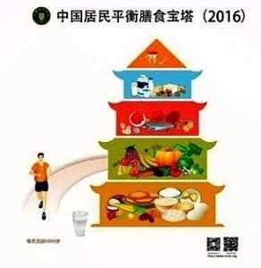 中国居民平衡膳食指南 平衡膳食指南科学饮食8句话