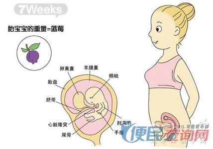 怀孕每个月营养补充 怀孕期间每个月如何补充营养