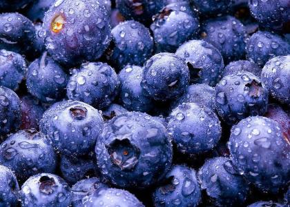 蓝莓花青素的作用 蓝莓花青素功效与作用
