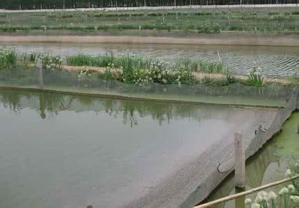 泥鳅池塘建设 池塘养泥鳅的管理技术