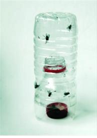 自制灭苍蝇器制作方法 捕苍蝇器的制作方法
