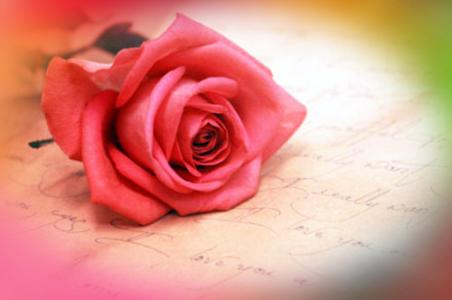 玫瑰花语每朵代表什么 玫瑰花语大全带图片 玫瑰花语每朵代表什么
