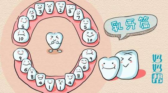 牙齿不好吃什么食物 吃什么能保护牙齿 保护牙齿的食物