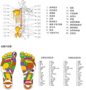 背部刮痧步骤图 刮痧步骤与工具介绍