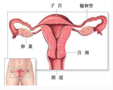避免宫颈炎的方法 预防阴道炎的方法