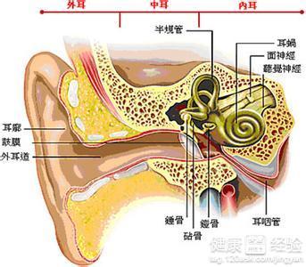 婴幼儿中耳炎症状 婴幼儿中耳炎是怎么形成的